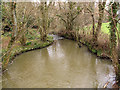 Pool below the bridge