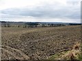 Fields south-east of Shildonhill Farm