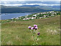 Fort William: view over the town from Blarmachfoldach