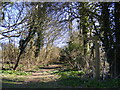 Footpath to Wash Lane