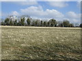 Farmland east of Kilkenny