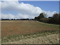 Farmland, Squareditch Farm