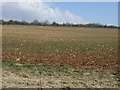 Farmland off the A436