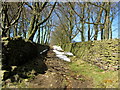 Walled Bridleway leading to Broad Head Lane