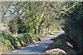 Mid Devon : Countryside Road