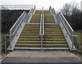 SE3903 : Steps to Wombwell by Steve  Fareham