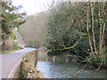 The  Street  and  Stream  south  of  Castle  Combe