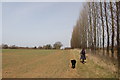 The Three Forests Way near Mascellsbury Farm