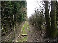 Footpath from Brandon Lane to Brandon Crescent