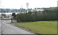 Riverside Plants at Brandon Nursery