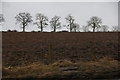 NO1735 : Fields and trees near Hillocks, near Burrelton by Mike Pennington