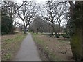 Path in Bush Wood, Wantstead (2)