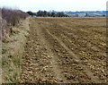 SP7390 : Field near the A6 Market Harborough bypass by Mat Fascione