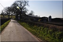 ST0911 : Mid Devon : Country Lane by Lewis Clarke
