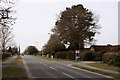 Alvescot Road in Carterton