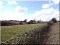 Looking west from the roadside near St Bede