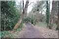 Footpath by the New River