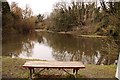 Bench overlooking the old watercress beds