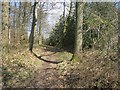 Path, Pound Green Coppice