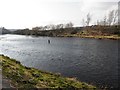 Mourne River, Strabane