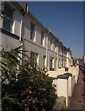 SX9265 : Terraced houses, Babbacombe Road by Derek Harper