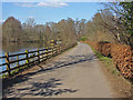 Great Pond dam