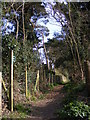 Footpath to High Street