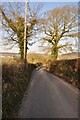 Mid Devon : Country Road