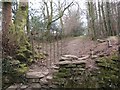 Llwybr Rhydyfro - Llangiwg Footpath