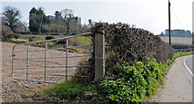 J5072 : Gate and hedge, Newtownards by Albert Bridge
