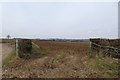 Farmland next to the Westow junction