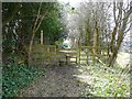 Footpath off Castle Hill Road