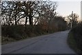 East Devon : Country Road