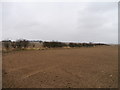 Arable Land Near Todhillrig