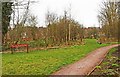 The Woodland Garden, Springfield Park, Kidderminster