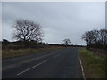 Minor road heading east, Middlesteads