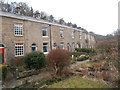 Terraced houses