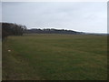 Farmland near Ellington