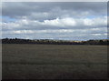 Farmland near Branston