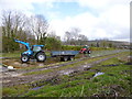 Bere Regis, watercress harvesting