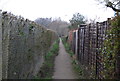 Footpath to Haysden Country Park