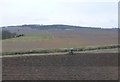 Ploughing beside the River Eden