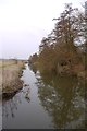 Broadmead Cut: view north-east from the Tanyard Bridge in early April