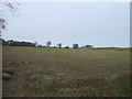 NU2303 : Farmland, Morwick by JThomas