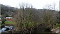 SS9127 : River Barle, Dulverton by nick macneill