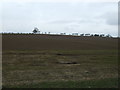 NU2006 : Farmland west of Sturton Grange by JThomas