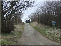 NU2212 : Green lane heading south from the A1068 by JThomas