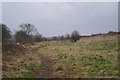 Rough ground by the Oxford Canal