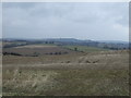 NU2112 : Farmland, Snelly Hill by JThomas