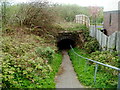 Underpass to cycle route 46, Pentwyn, Abersychan